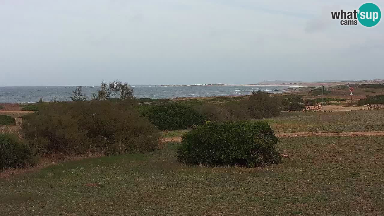 Mari Ermi Strand | Is Arutas – Oristano