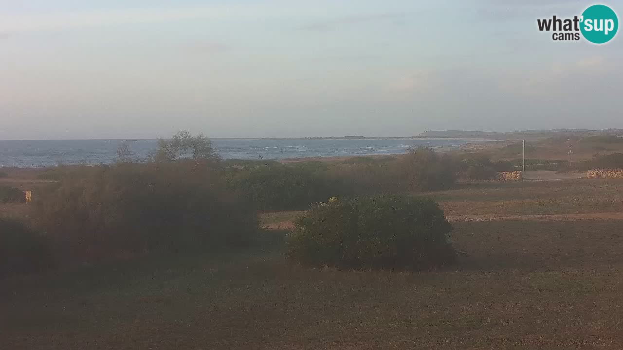 Mari Ermi Strand | Is Arutas – Oristano
