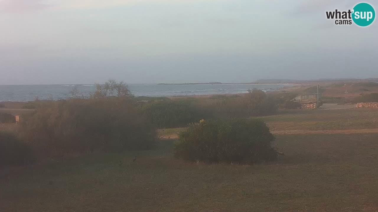 Mari Ermi beach | Is Arutas – Oristano
