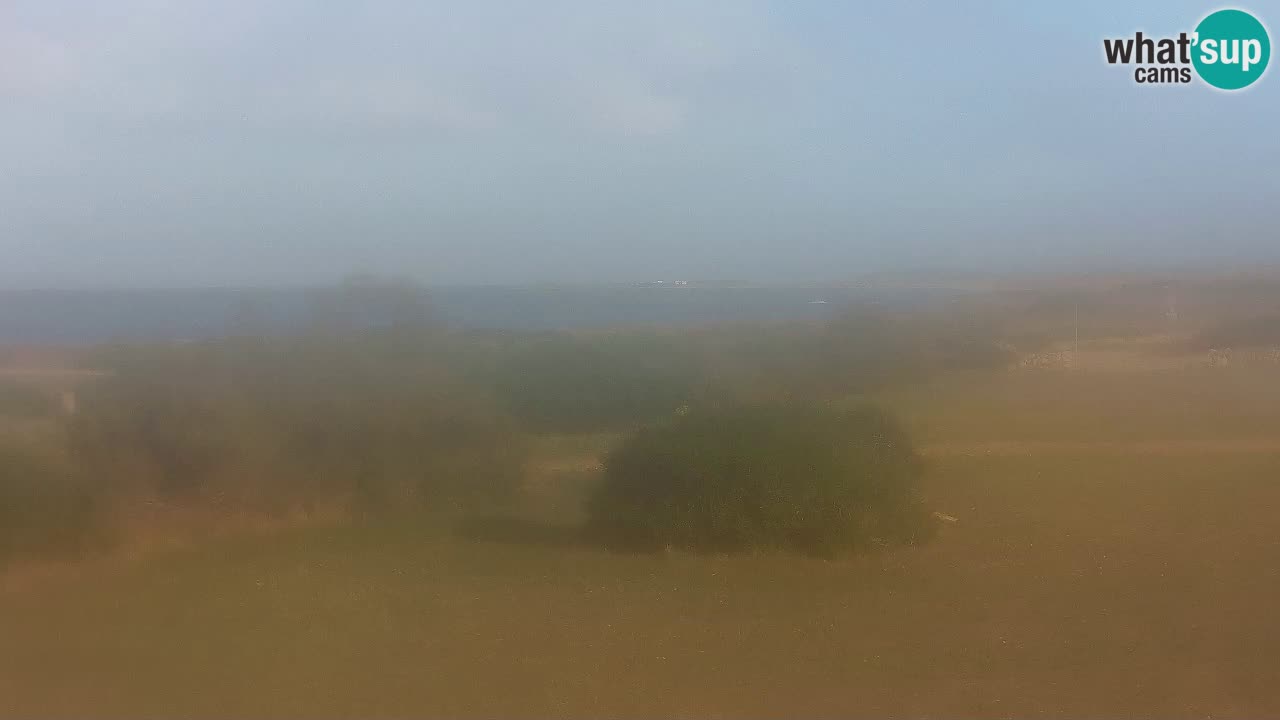 Plaža Mari Ermi | Is Arutas – Oristano