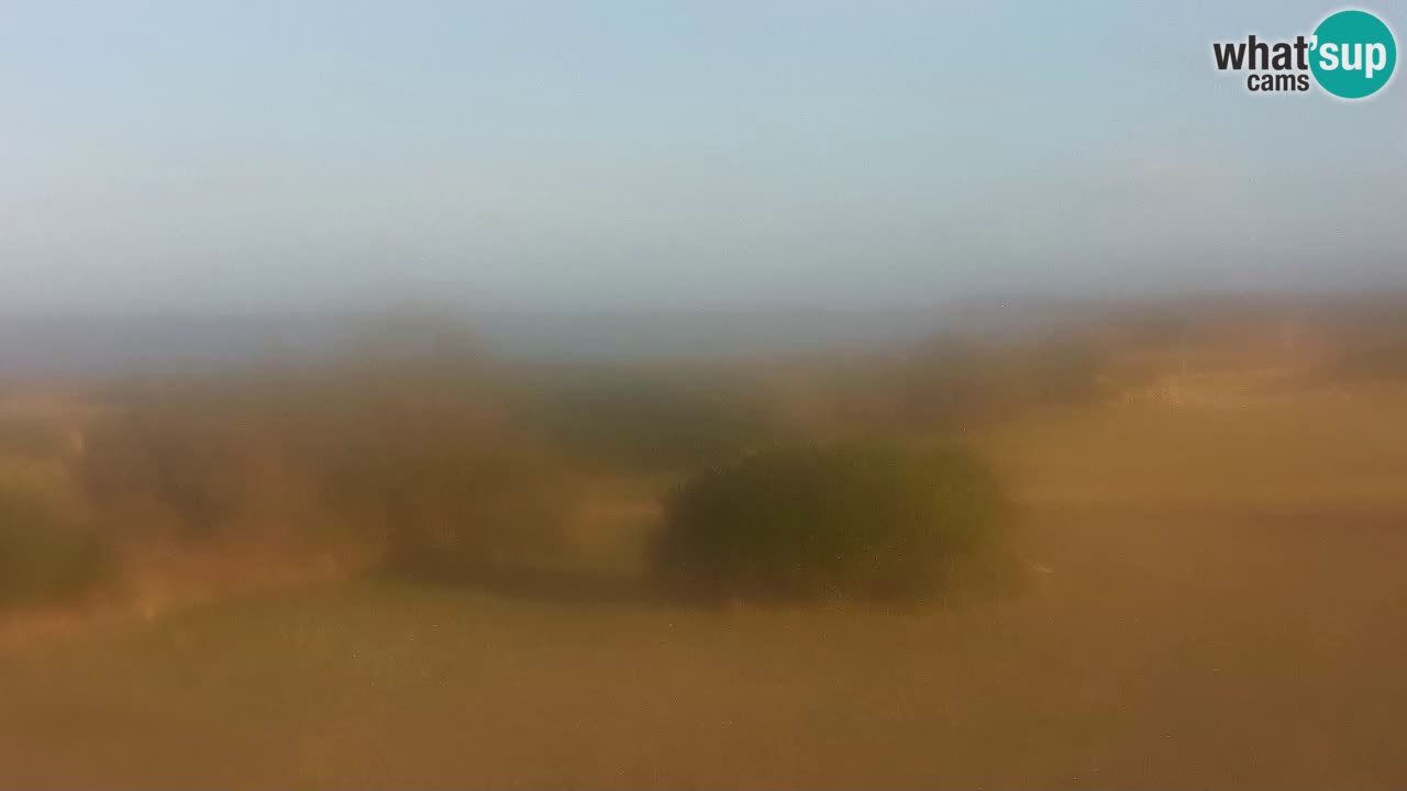 Plage Mari Ermi | Is Arutas – Oristano