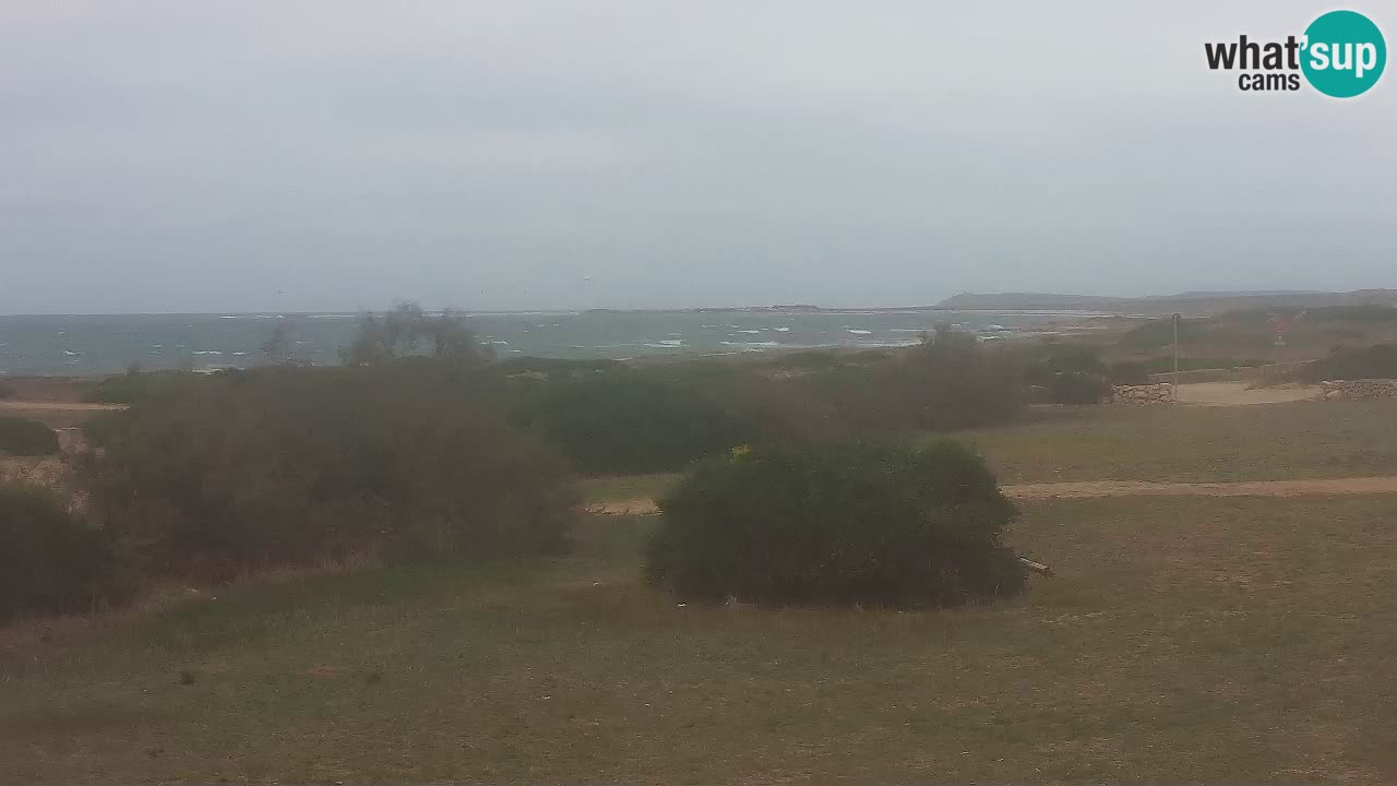 Mari Ermi Strand | Is Arutas – Oristano