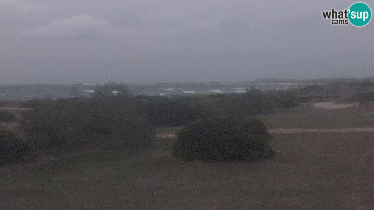 Mari Ermi Strand | Is Arutas – Oristano