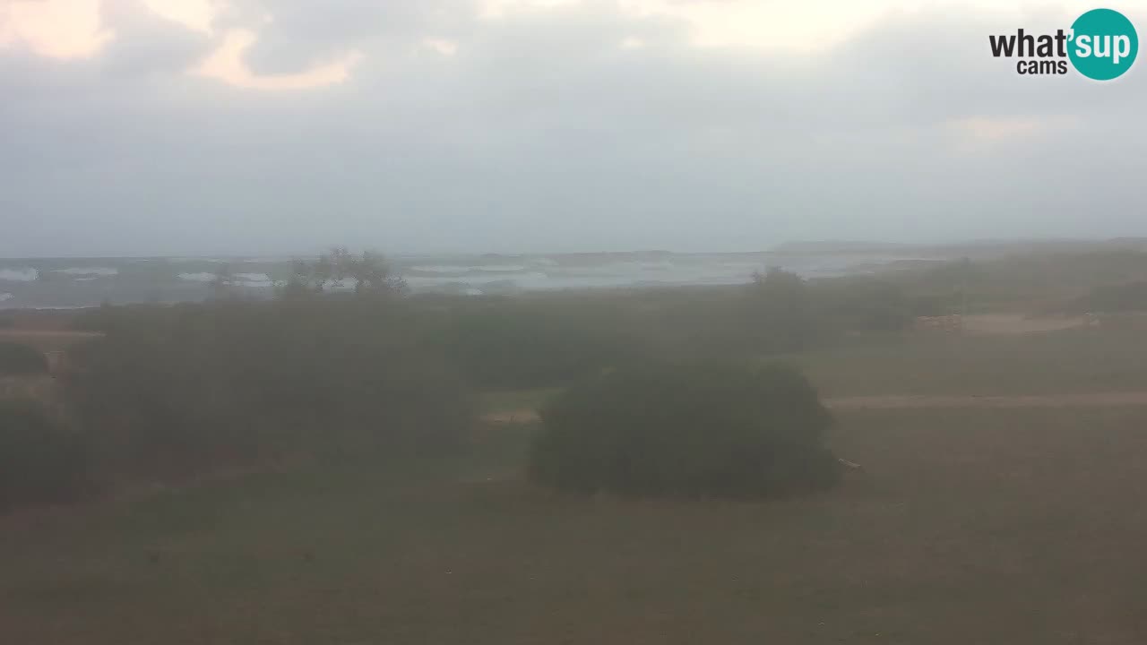 Plaža Mari Ermi | Is Arutas – Oristano