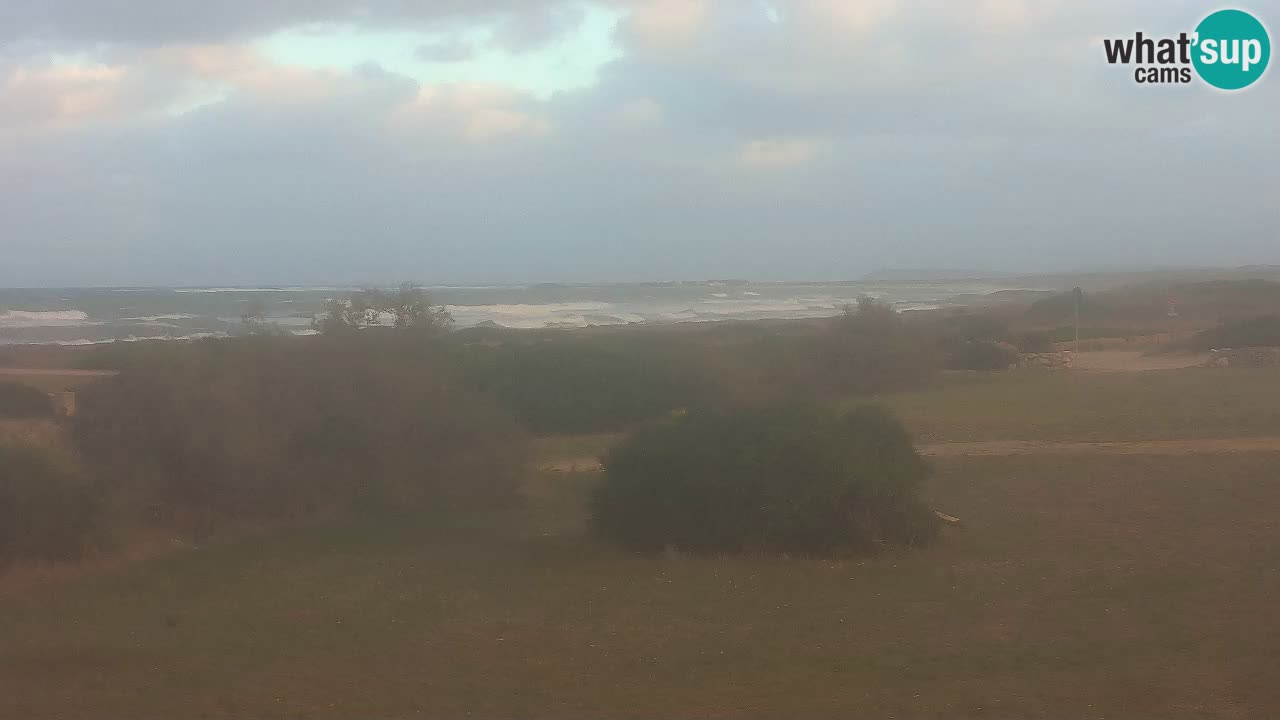 Plaža Mari Ermi | Is Arutas – Oristano