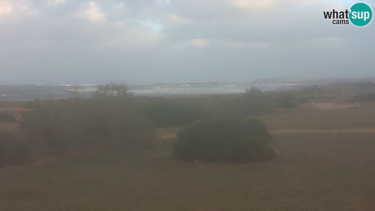 Plage Mari Ermi | Is Arutas – Oristano