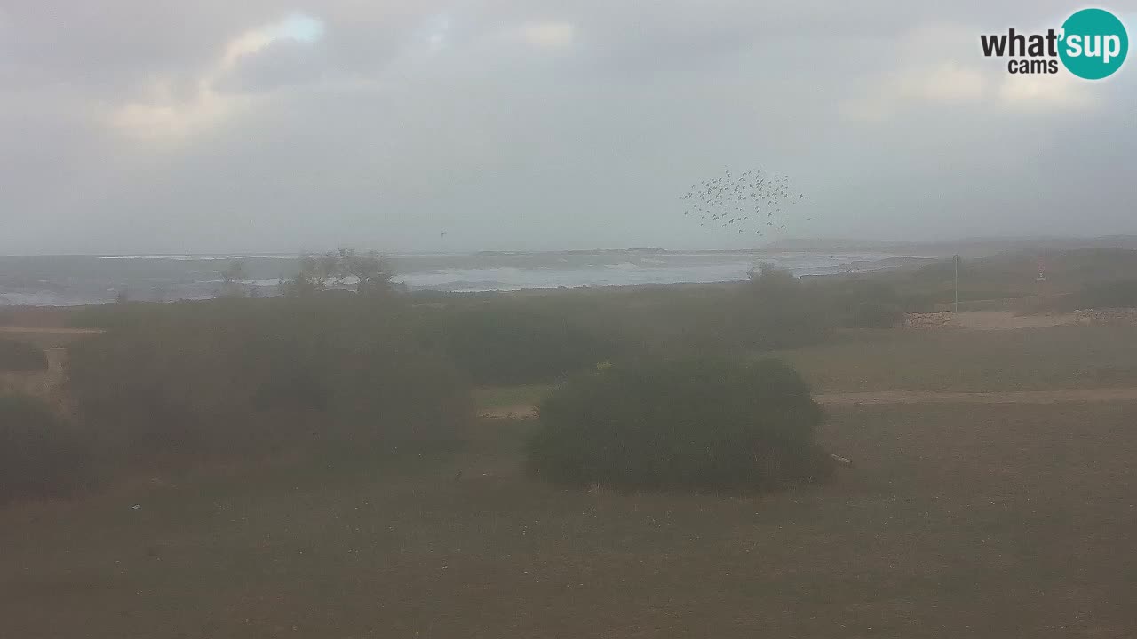 Plaža Mari Ermi | Is Arutas – Oristano