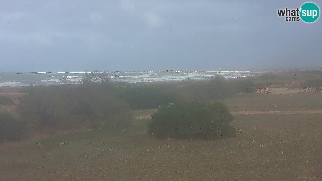 Mari Ermi Strand | Is Arutas – Oristano