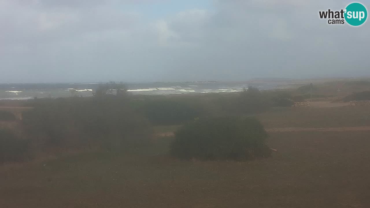 Spiaggia Mari Ermi | Is Arutas – Oristano