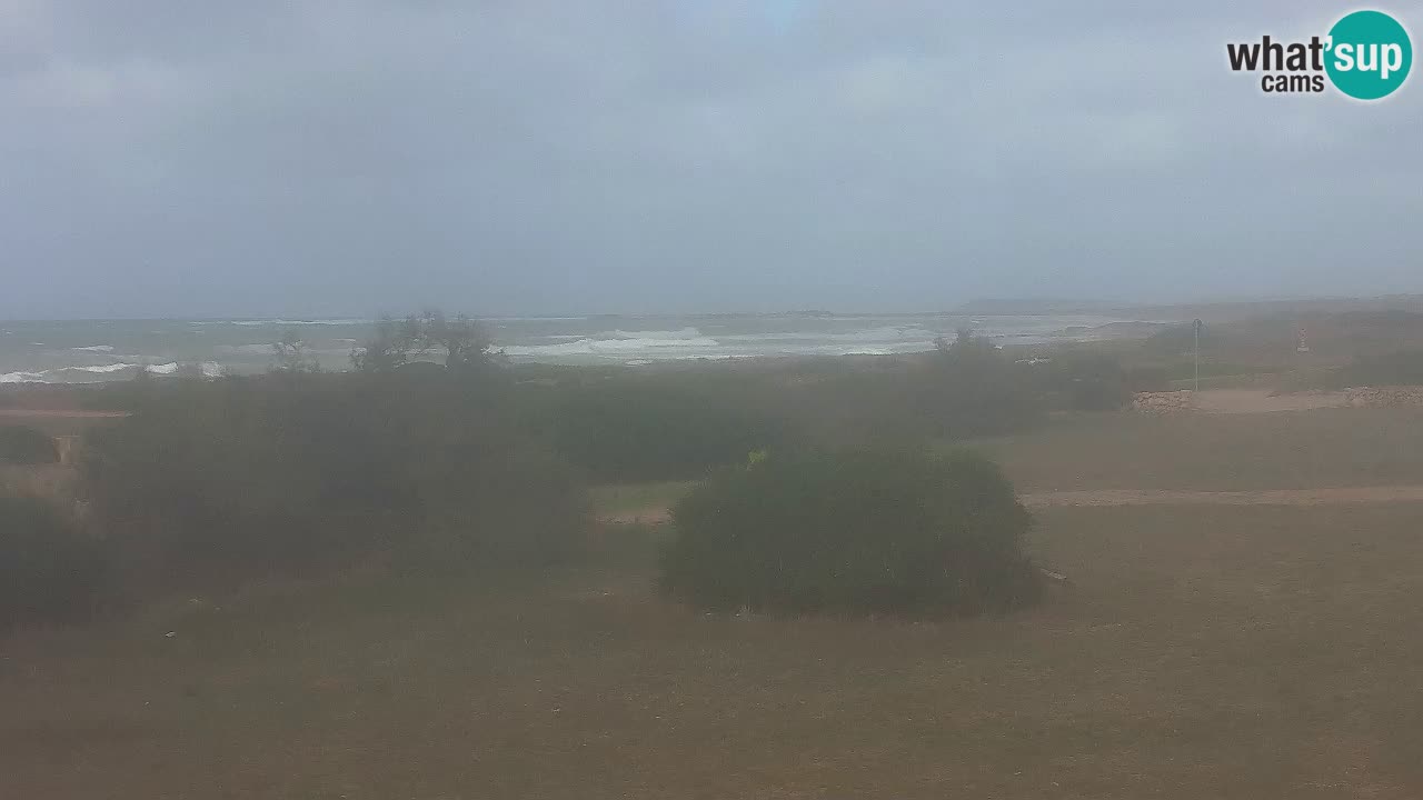 Playa Mari Ermi | Is Arutas – Oristano