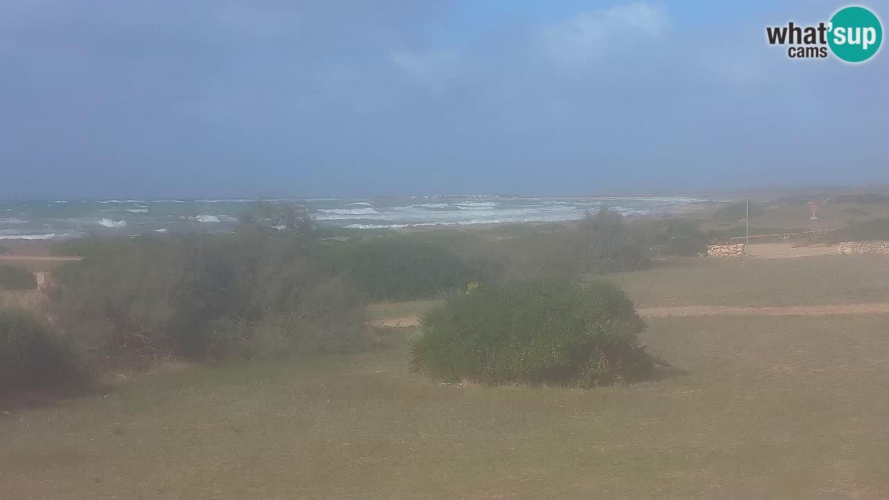 Mari Ermi Strand | Is Arutas – Oristano