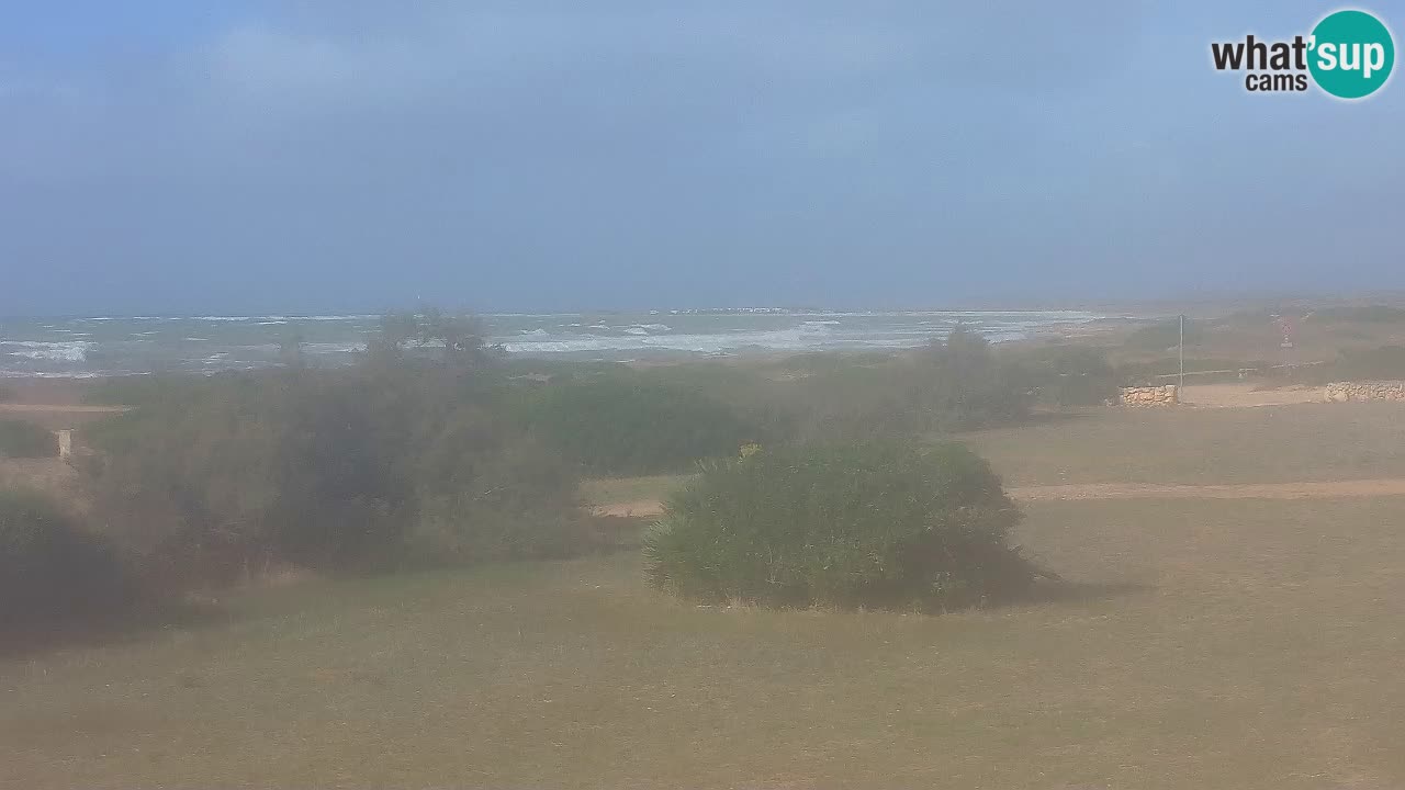 Mari Ermi Strand | Is Arutas – Oristano