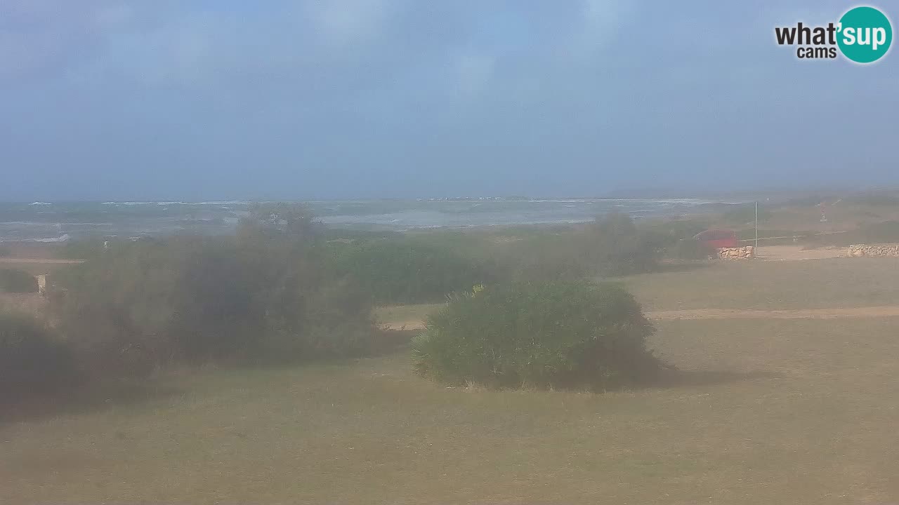 Mari Ermi Strand | Is Arutas – Oristano