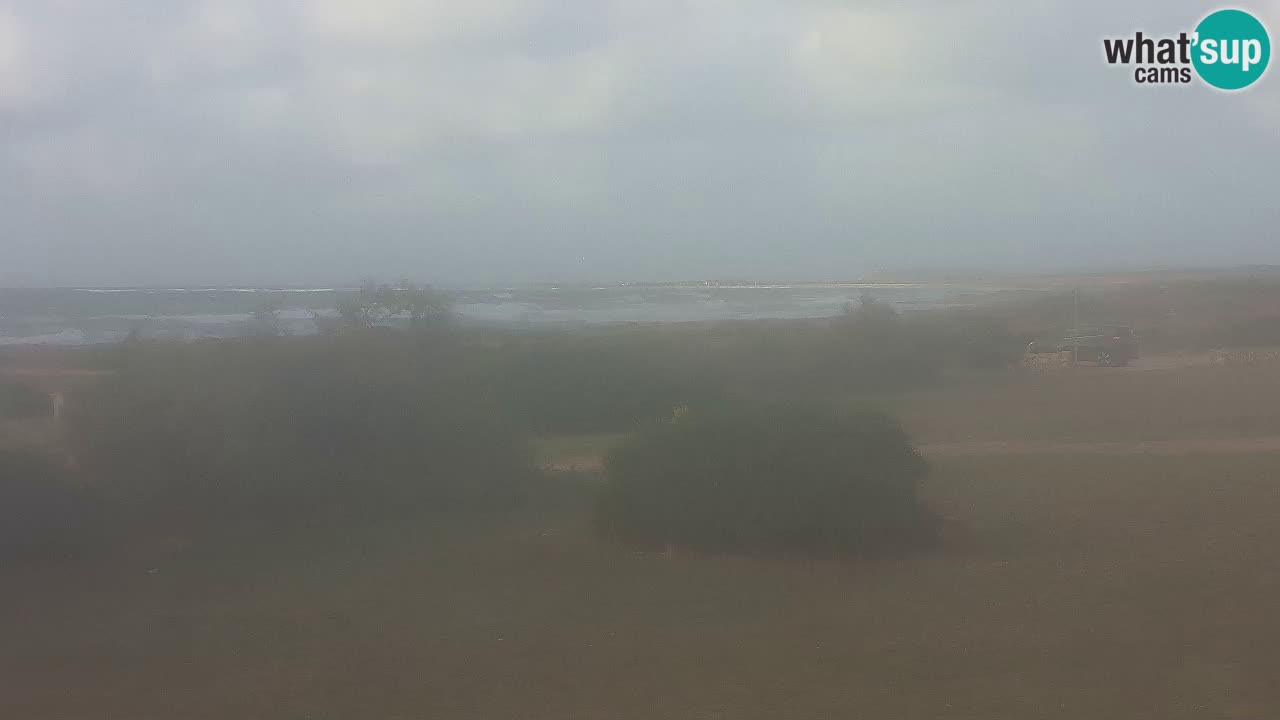 Spiaggia Mari Ermi | Is Arutas – Oristano