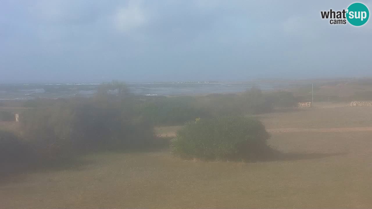 Mari Ermi Strand | Is Arutas – Oristano
