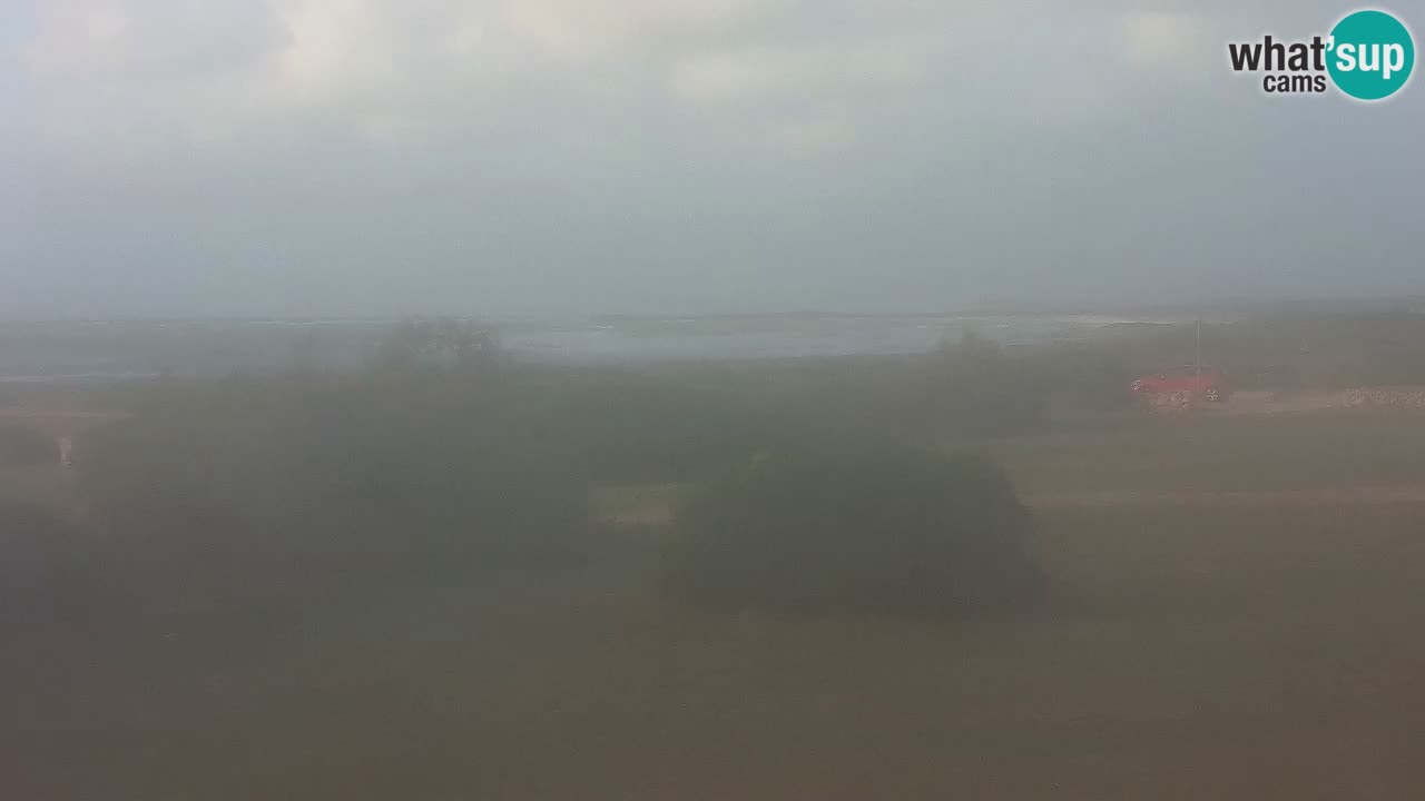 Mari Ermi Strand | Is Arutas – Oristano