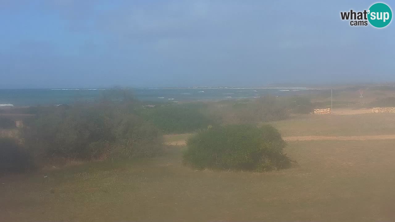 Mari Ermi Strand | Is Arutas – Oristano