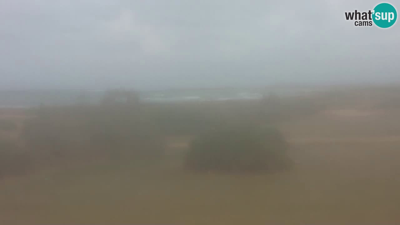 Playa Mari Ermi | Is Arutas – Oristano