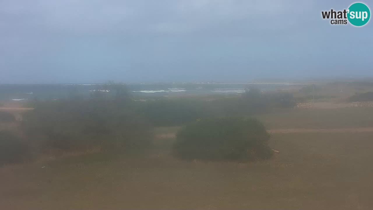 Playa Mari Ermi | Is Arutas – Oristano