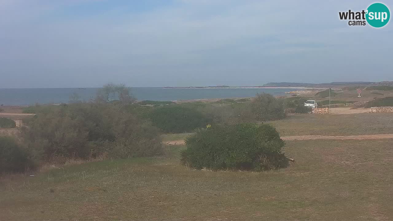 Playa Mari Ermi | Is Arutas – Oristano