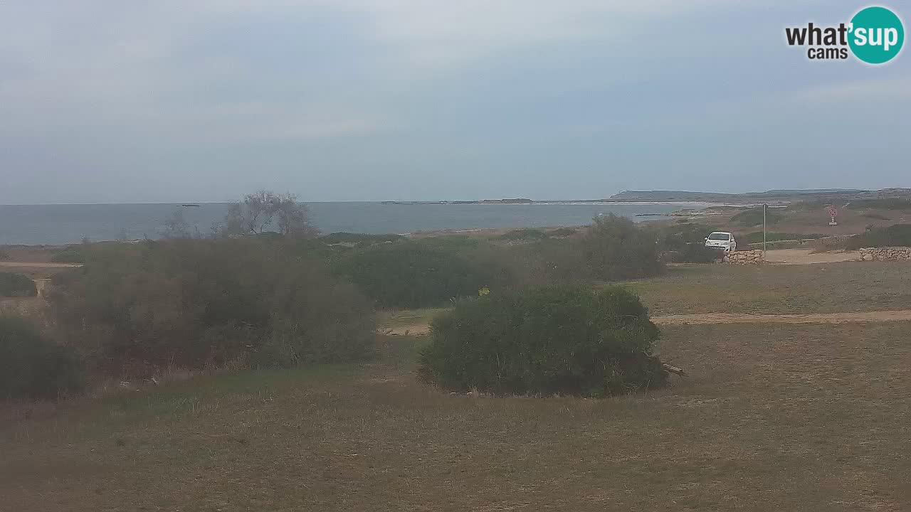 Plaža Mari Ermi | Is Arutas – Oristano