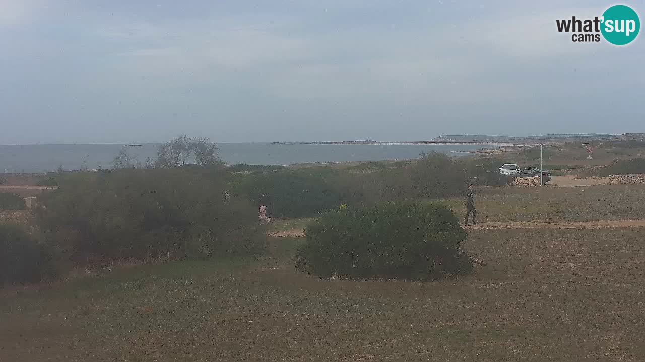 Mari Ermi Strand | Is Arutas – Oristano