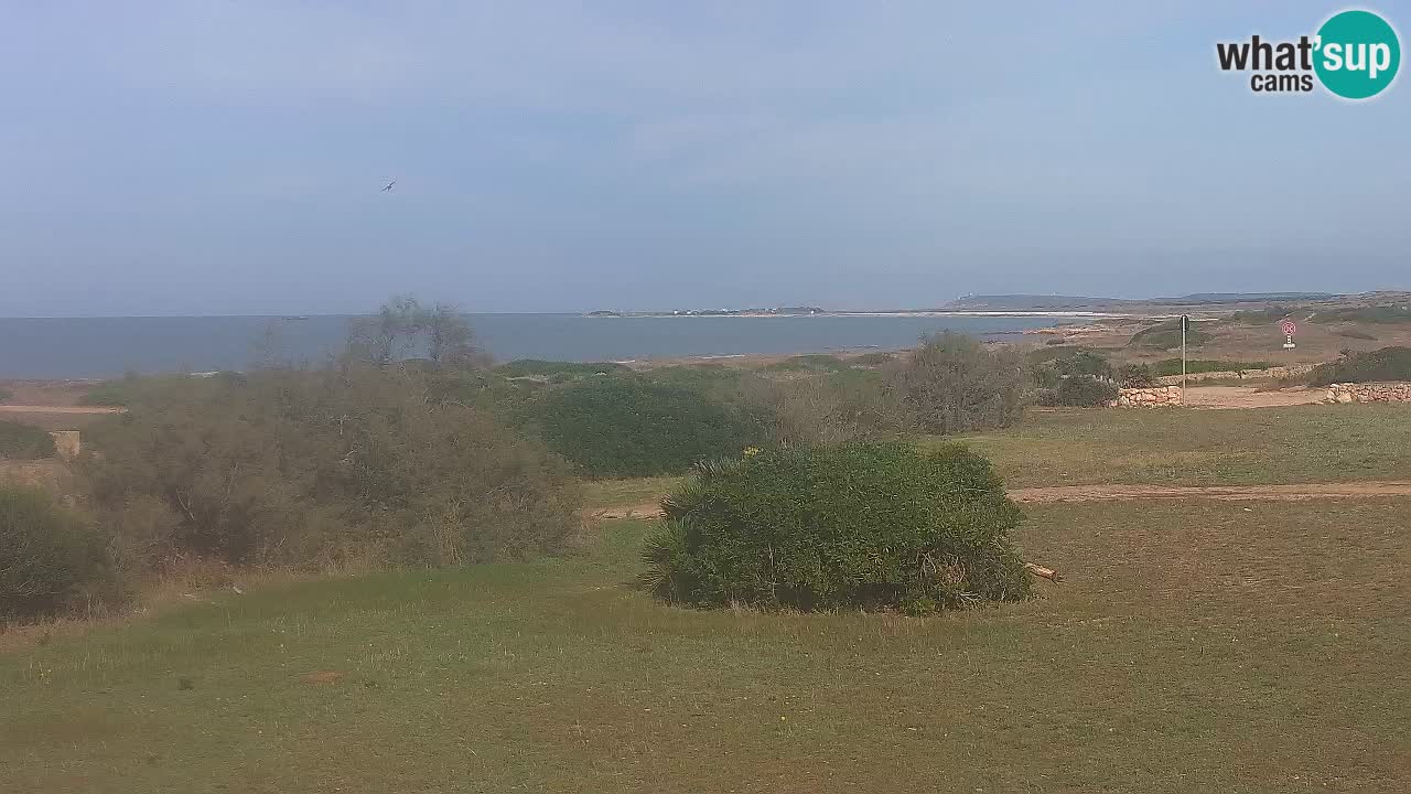 Mari Ermi beach | Is Arutas – Oristano