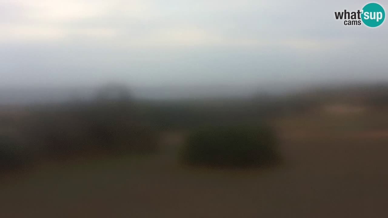 Plaža Mari Ermi | Is Arutas – Oristano