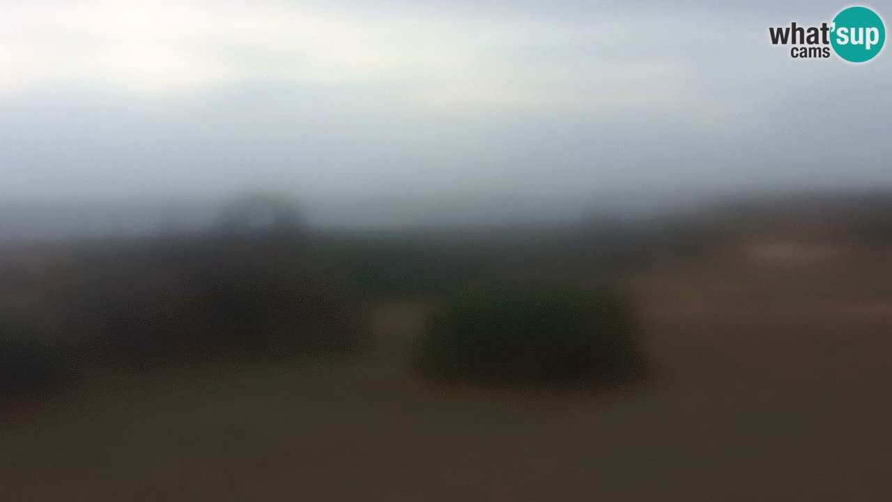 Plaža Mari Ermi | Is Arutas – Oristano