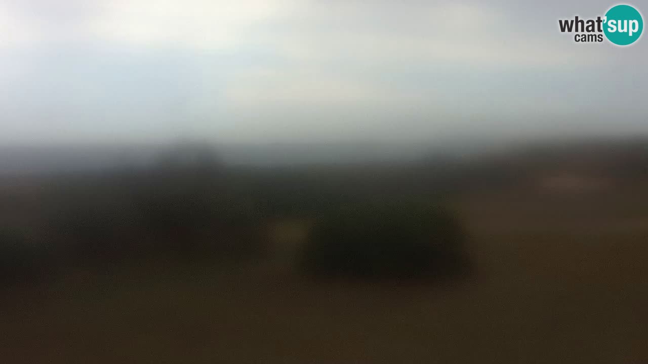 Mari Ermi Strand | Is Arutas – Oristano