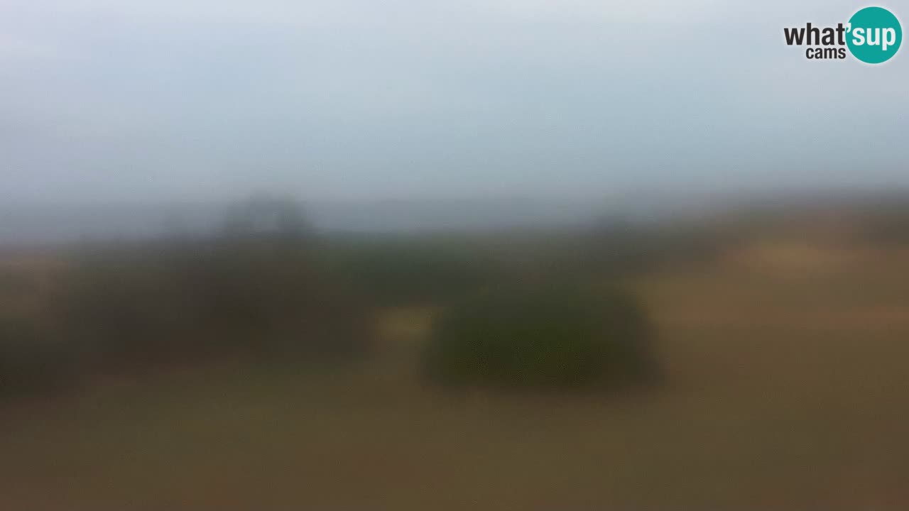 Plaža Mari Ermi | Is Arutas – Oristano