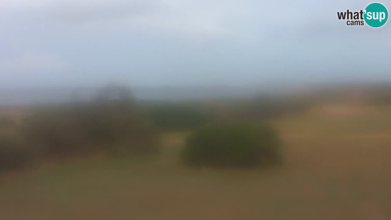 Spiaggia Mari Ermi | Is Arutas – Oristano