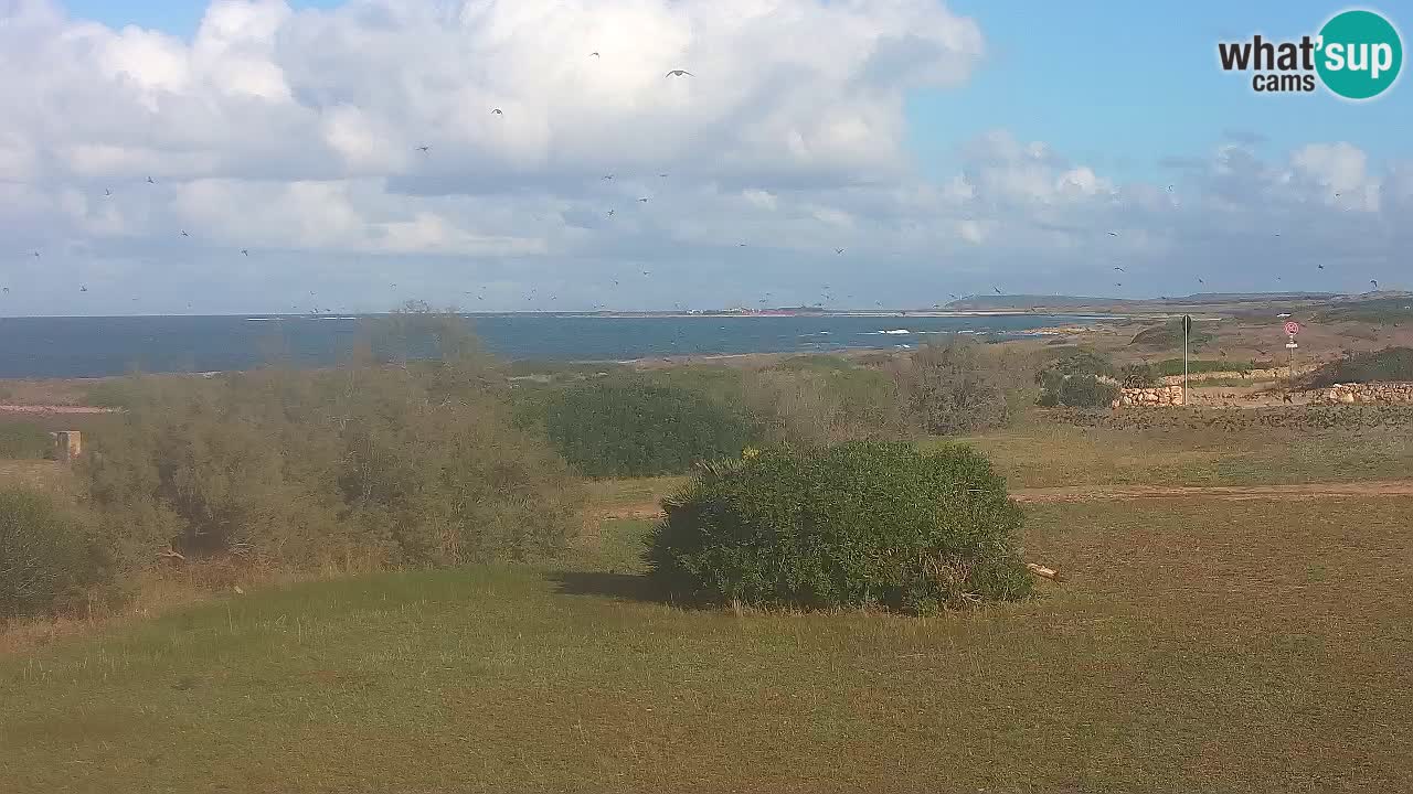 Mari Ermi beach | Is Arutas – Oristano