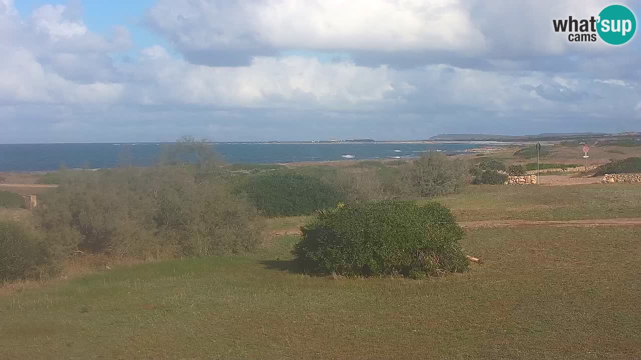 Mari Ermi Strand | Is Arutas – Oristano