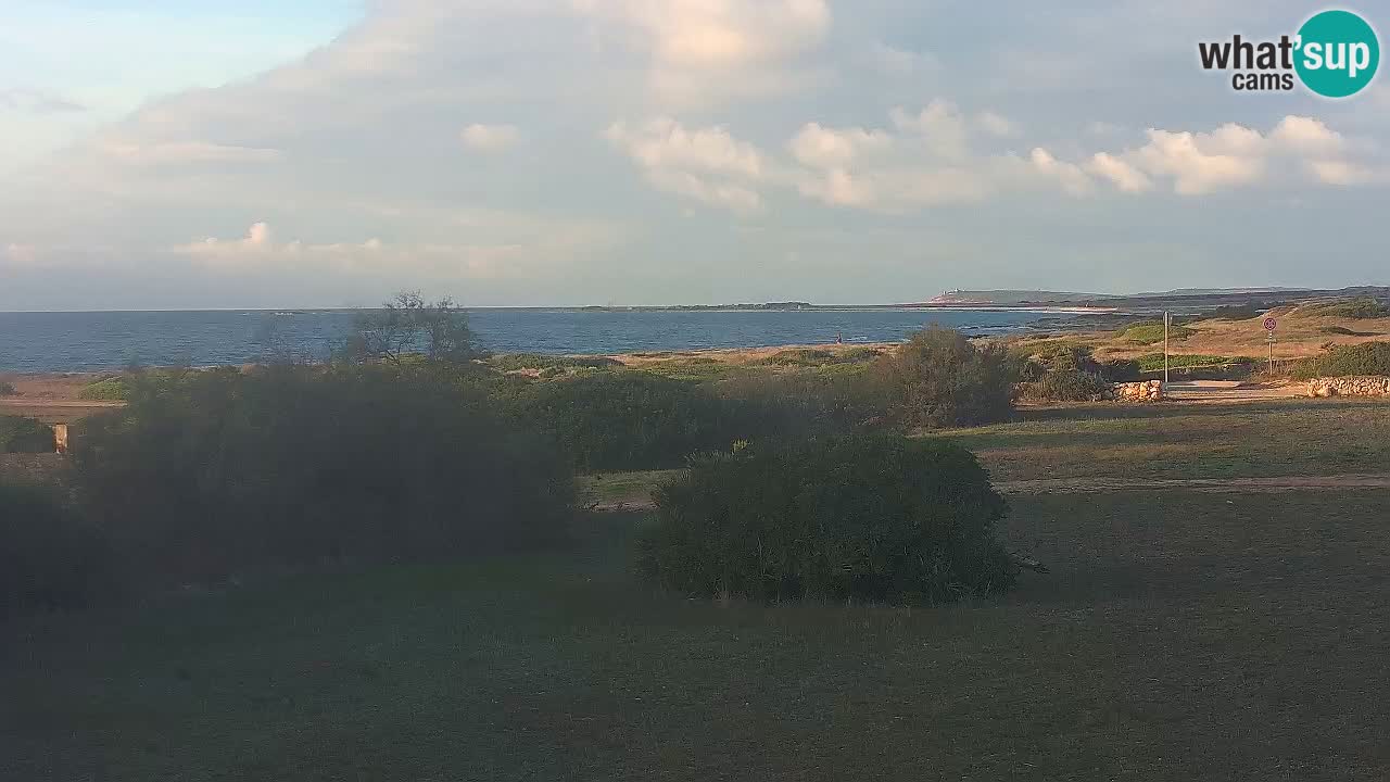 Plaža Mari Ermi | Is Arutas – Oristano