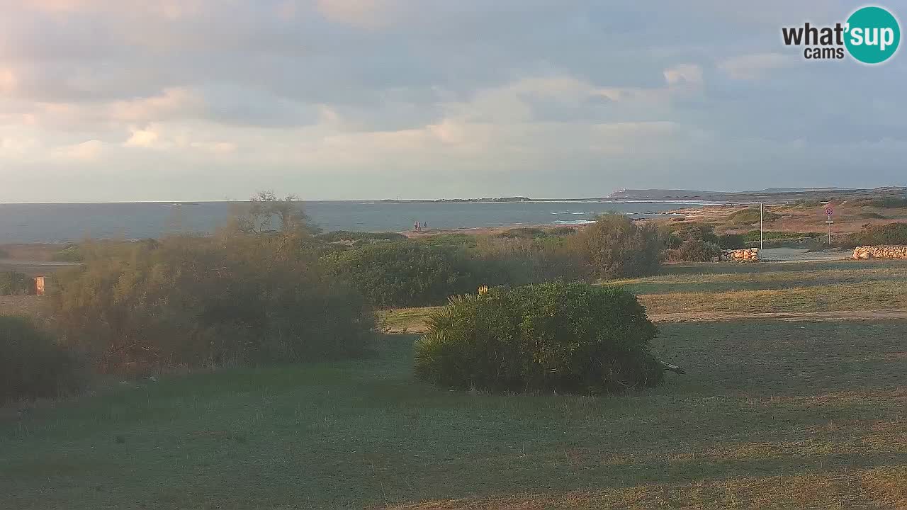 Plaža Mari Ermi | Is Arutas – Oristano