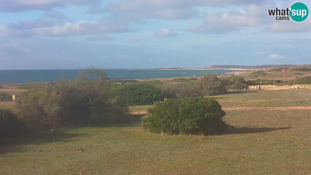 Mari Ermi Strand | Is Arutas – Oristano