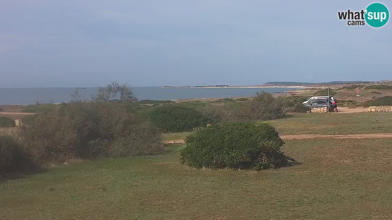 Plaža Mari Ermi | Is Arutas – Oristano