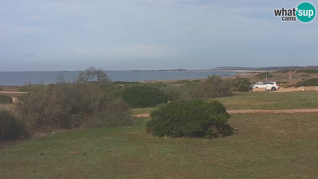 Mari Ermi Strand | Is Arutas – Oristano