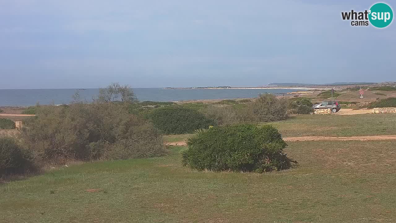 Mari Ermi Strand | Is Arutas – Oristano