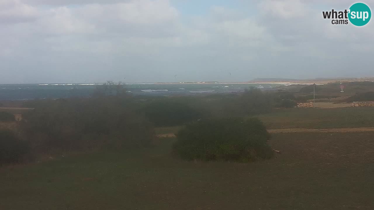 Mari Ermi Strand | Is Arutas – Oristano