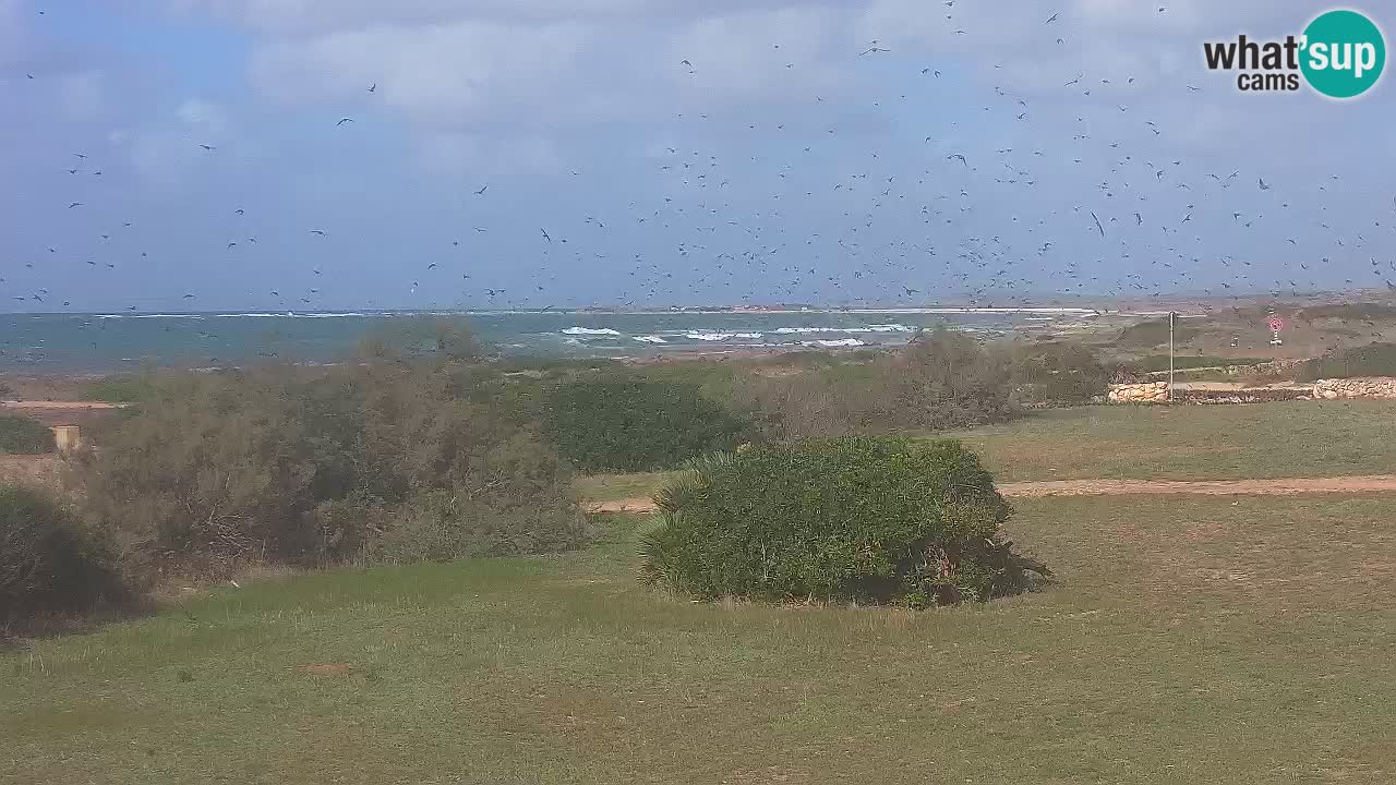Playa Mari Ermi | Is Arutas – Oristano