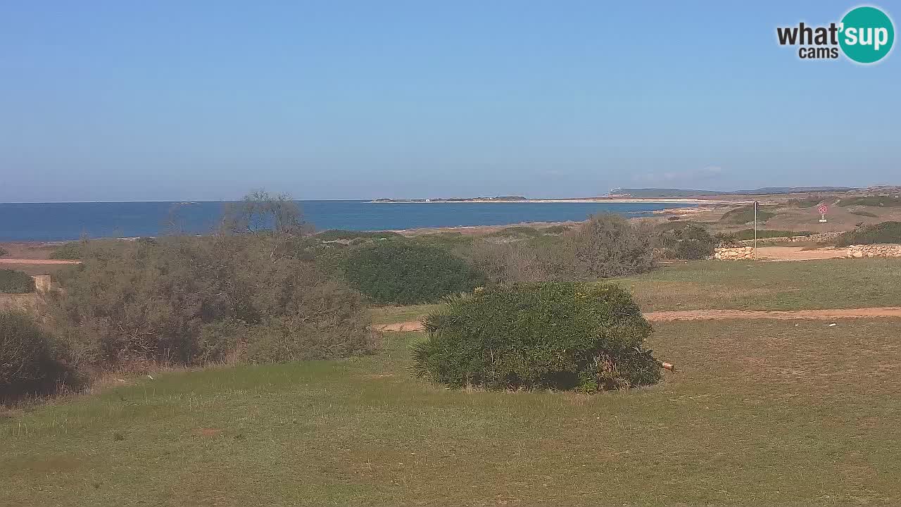 Mari Ermi Strand | Is Arutas – Oristano