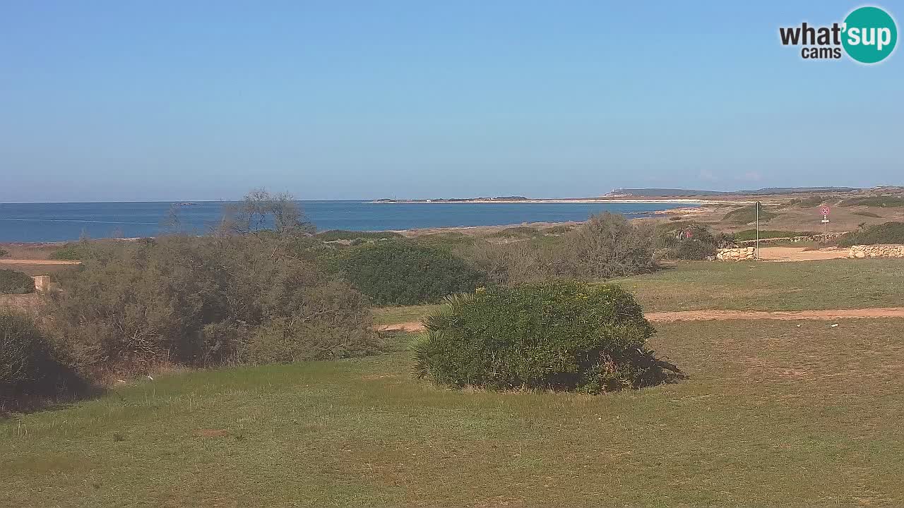 Plaža Mari Ermi | Is Arutas – Oristano