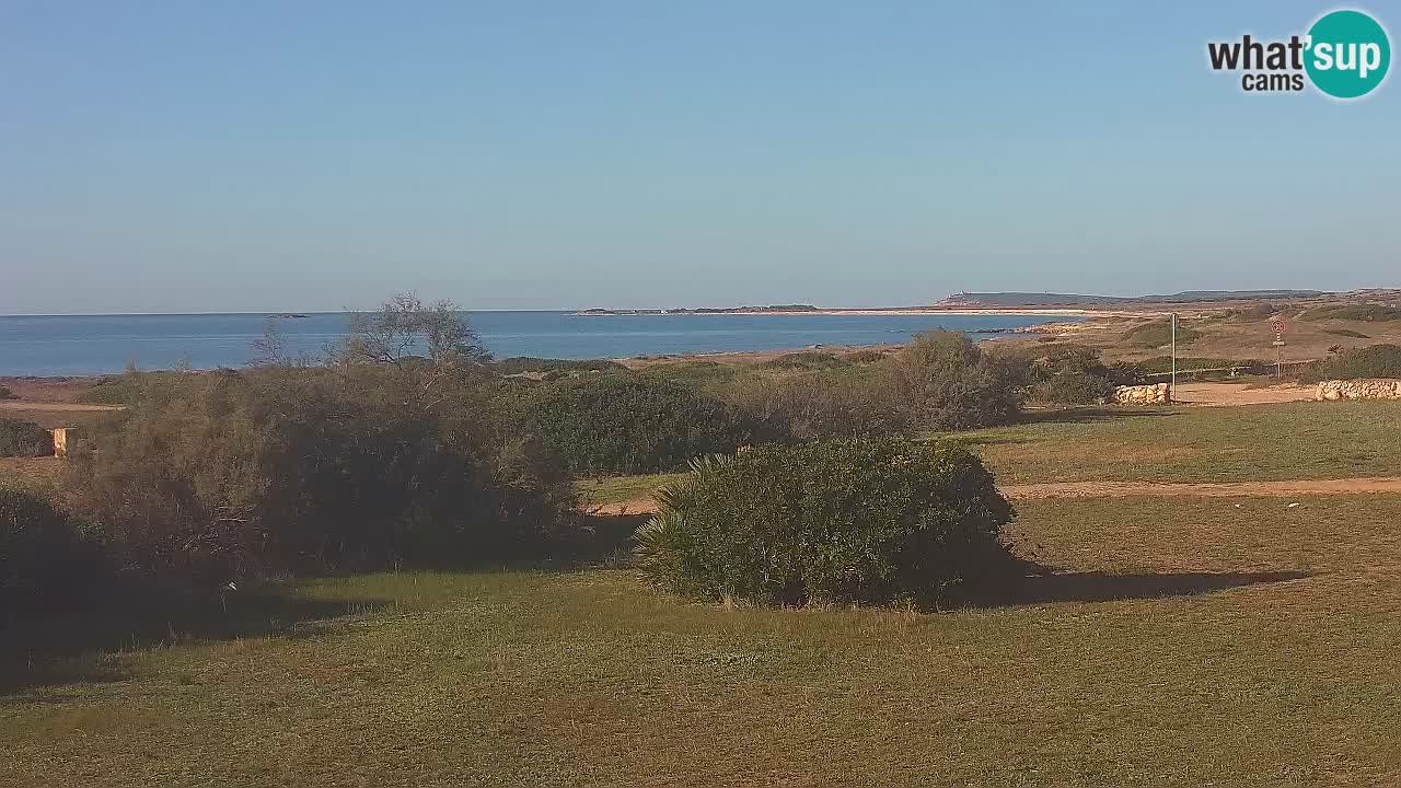 Playa Mari Ermi | Is Arutas – Oristano