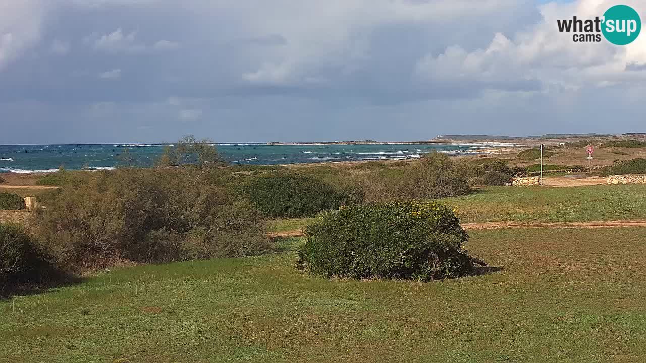 Plaža Mari Ermi | Is Arutas – Oristano