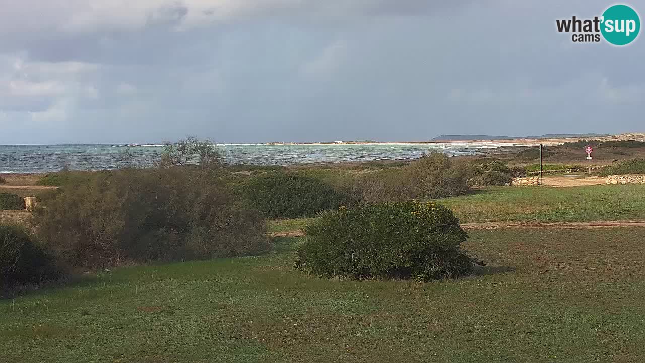 Playa Mari Ermi | Is Arutas – Oristano