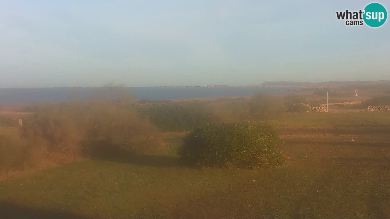 Mari Ermi Strand | Is Arutas – Oristano