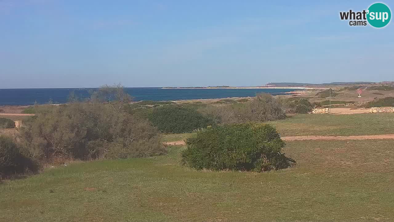 Playa Mari Ermi | Is Arutas – Oristano