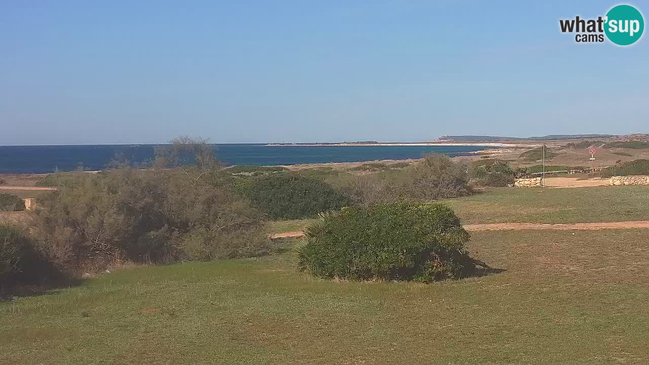 Playa Mari Ermi | Is Arutas – Oristano
